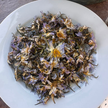 Complete Dream Herb Sampler Pack