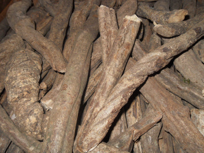 Banisteriopsis Caapi Vine Powder | Peruvian White Yagé