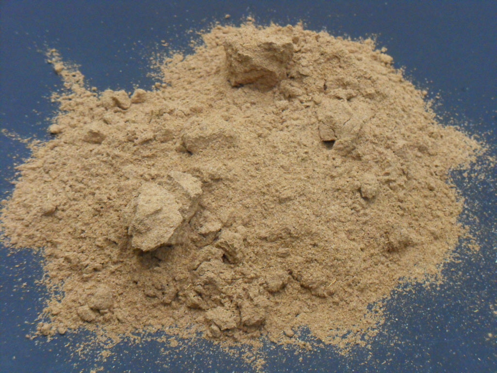 Banisteriopsis Caapi Vine Powder | Ecuadorian Yellow Yagé