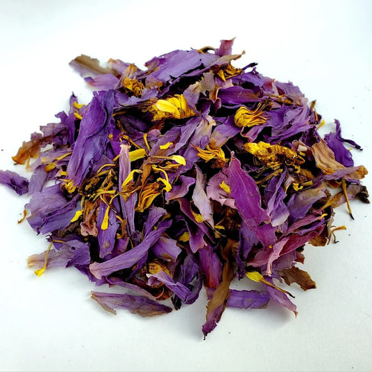 Egyptian Blue Lotus Flower - Dried Dream Herb