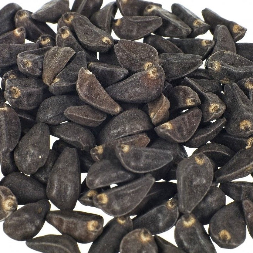 Morning Glory Seeds - Untreated